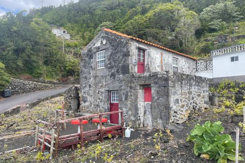 Ruinere i Lajes do Pico, Pico, Lajes do Pico - € 85.000 | Ref: 374240054 - foto 6
